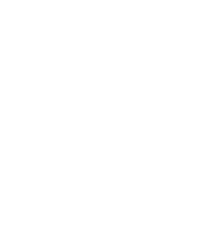 Asset 3