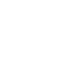 Asset 4-1