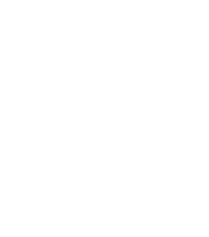 Asset 4